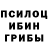 Псилоцибиновые грибы Psilocybe Drunken Redneck