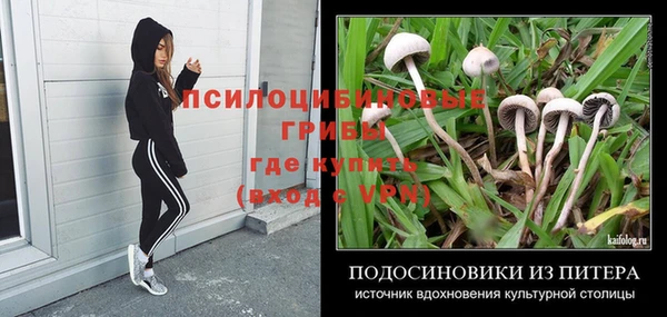 соль ск Няндома