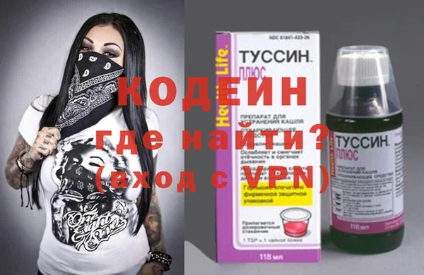 соль ск Няндома