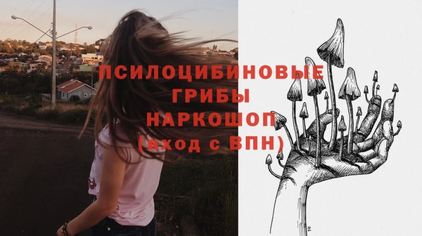 тгк Нязепетровск