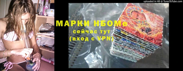 соль ск Няндома
